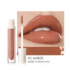 FOCALLURE Plumpmax Lip Gloss (6668673417410)