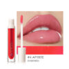 FOCALLURE Plumpmax Lip Gloss (6668673417410)