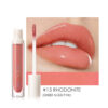 FOCALLURE Plumpmax Lip Gloss (6668673417410)